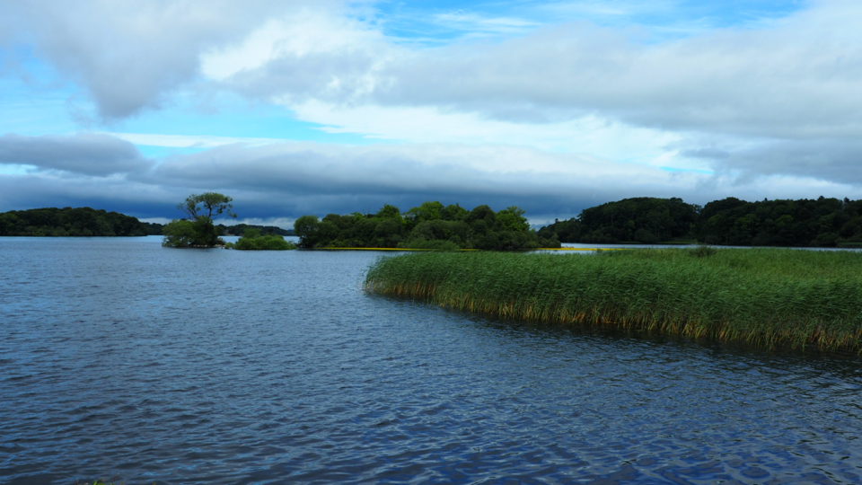 Lough Leane