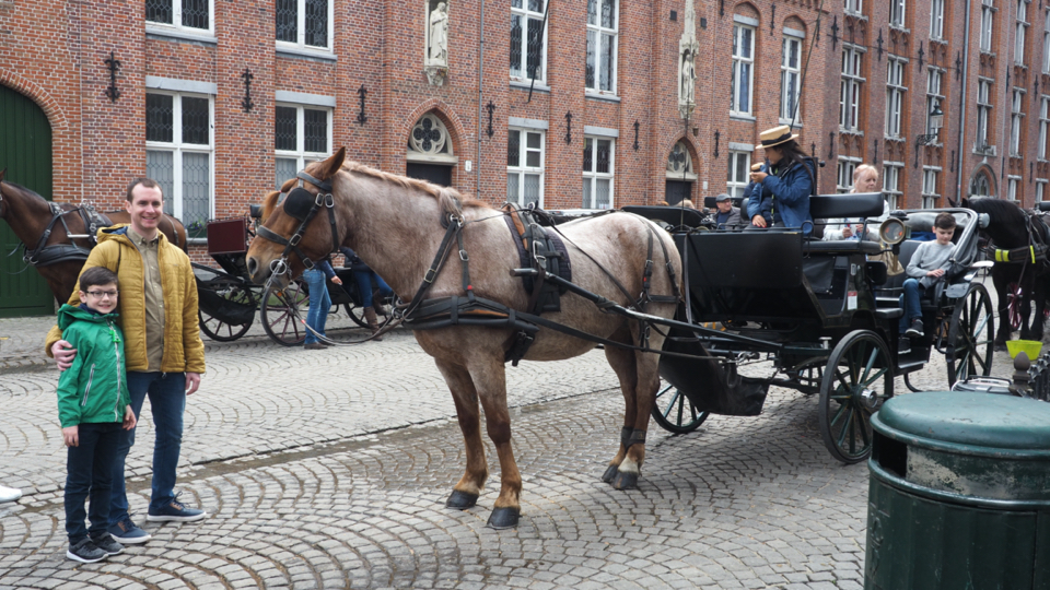 Horse & Carriage