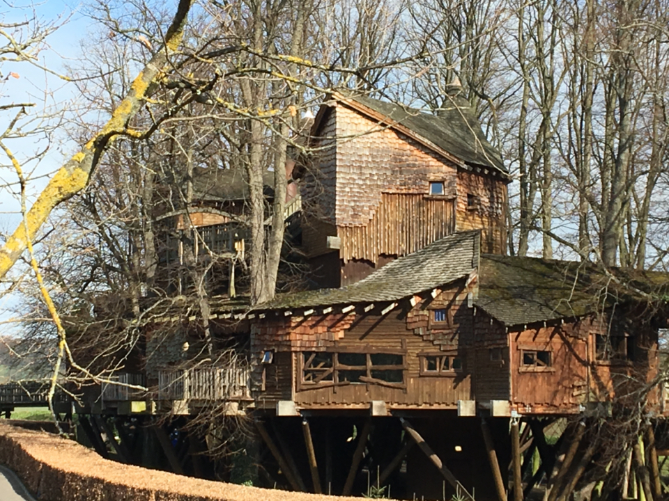 The Treehouse