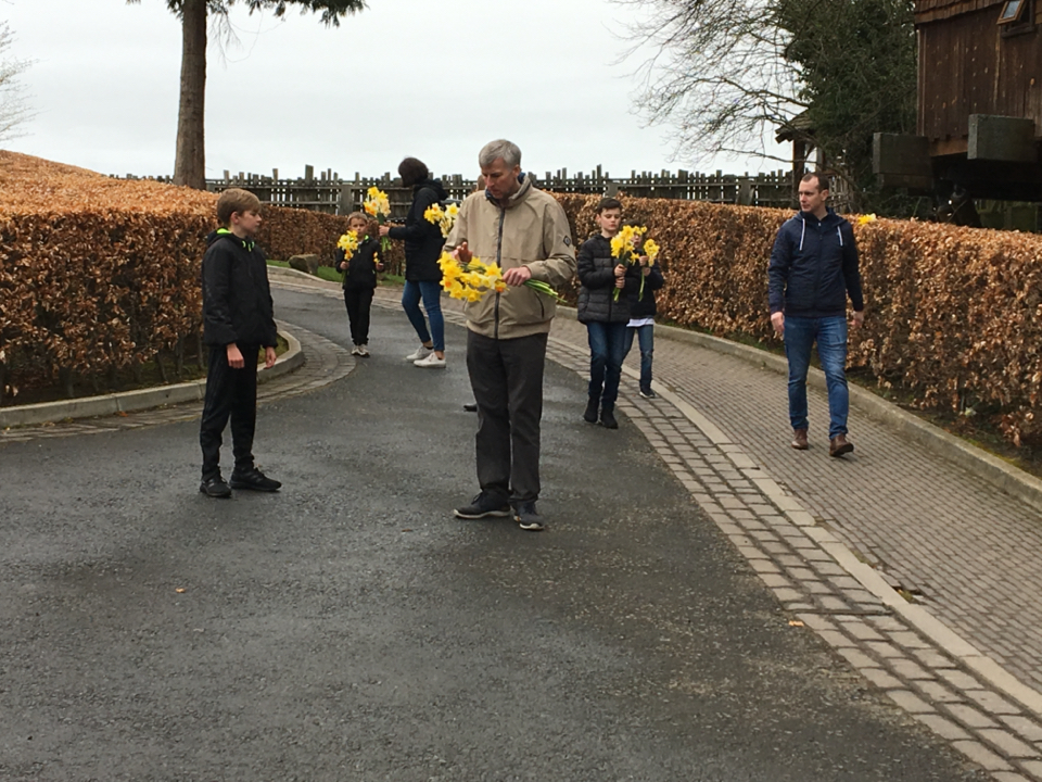 Daffodil Pickers