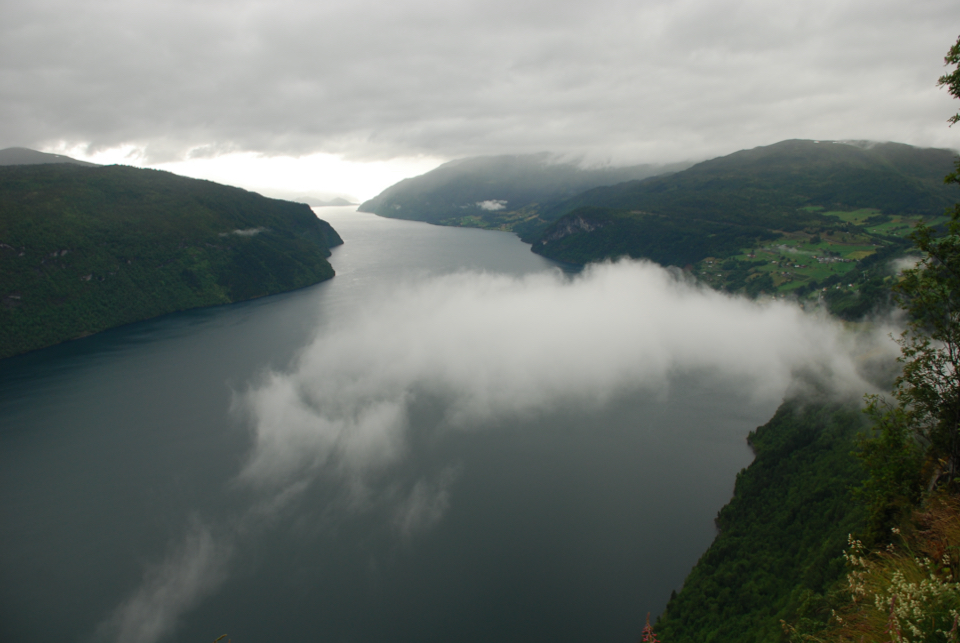 Norwegian Fjords