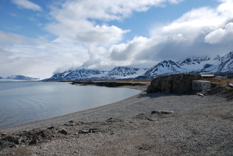 NY-Alesund